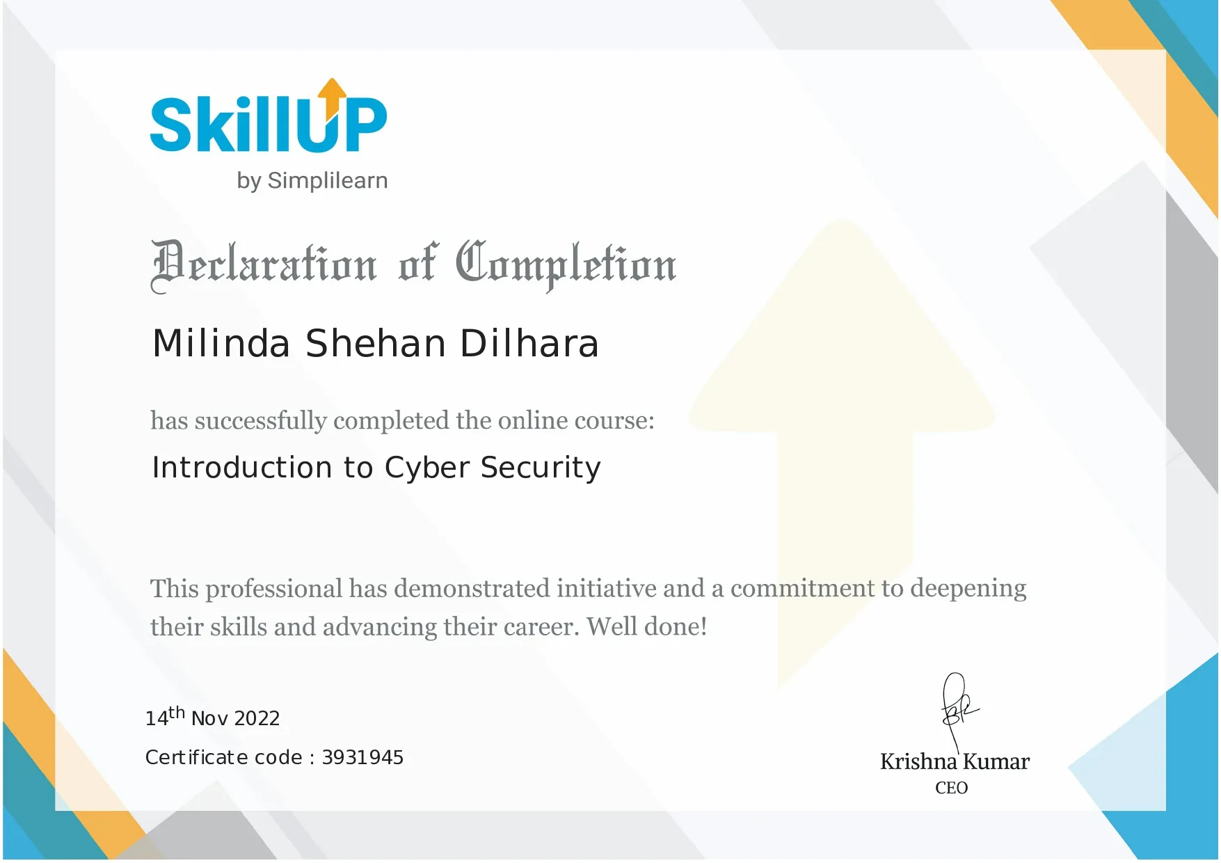 Introduction to Cybersecurity